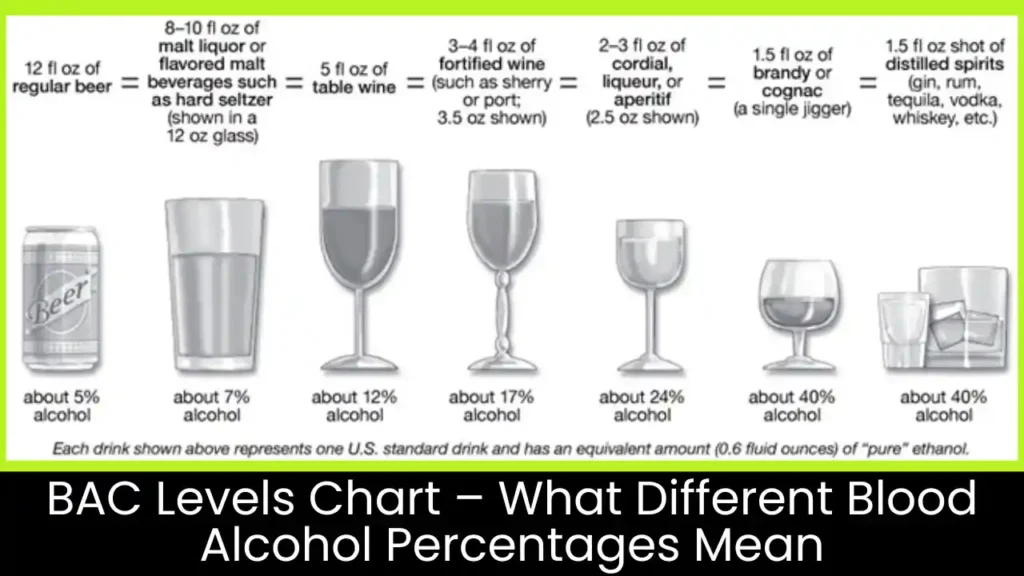 BAC Levels Chart – What Different Blood Alcohol Percentages Mean