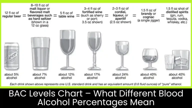 BAC Levels Chart – What Different Blood Alcohol Percentages Mean