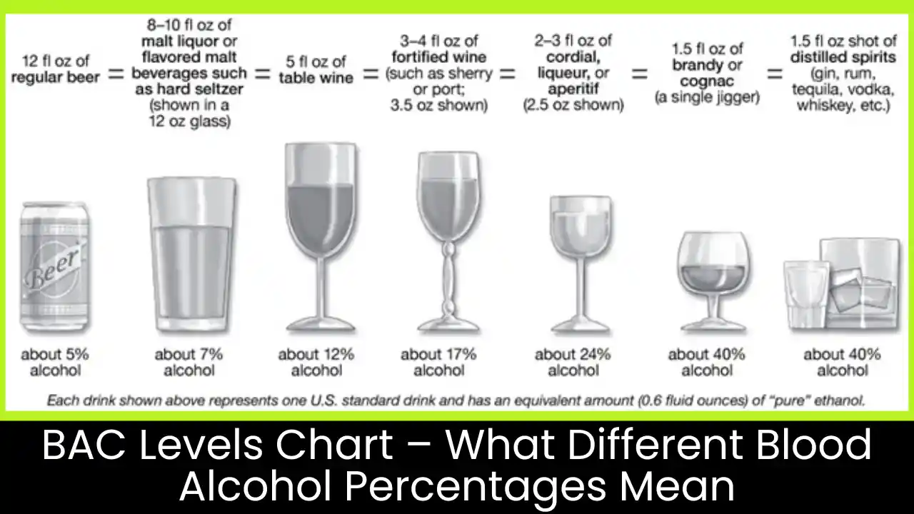 BAC Levels Chart – What Different Blood Alcohol Percentages Mean