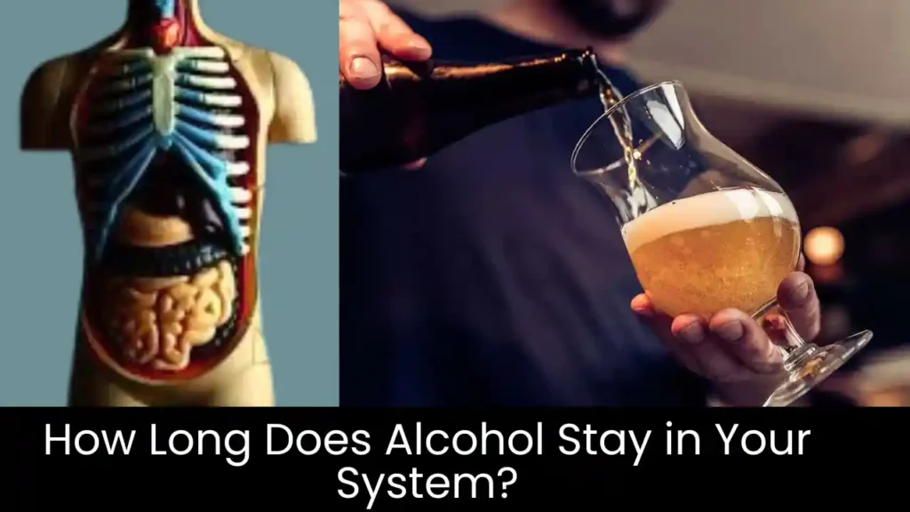 How Long Does Alcohol Stay in Your System